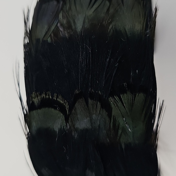 Unique Peacock Feather Cuff Bracelet Black w Green Highlight Feathers Goth Dark - Picture 6 of 6